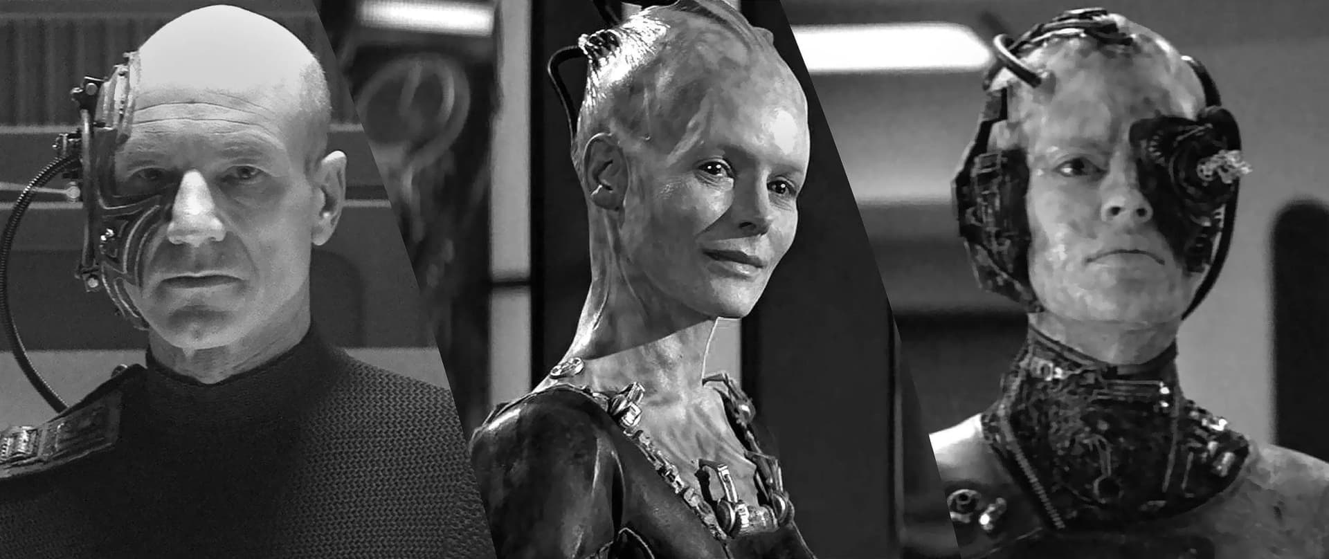 A Star Trek Borg cybernetic organism